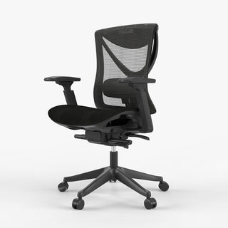 Gabbro-Ergonomic Office Chair