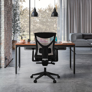 Gabbro-Ergonomic Office Chair