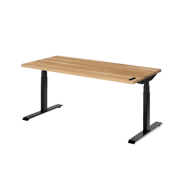 Ergonofis